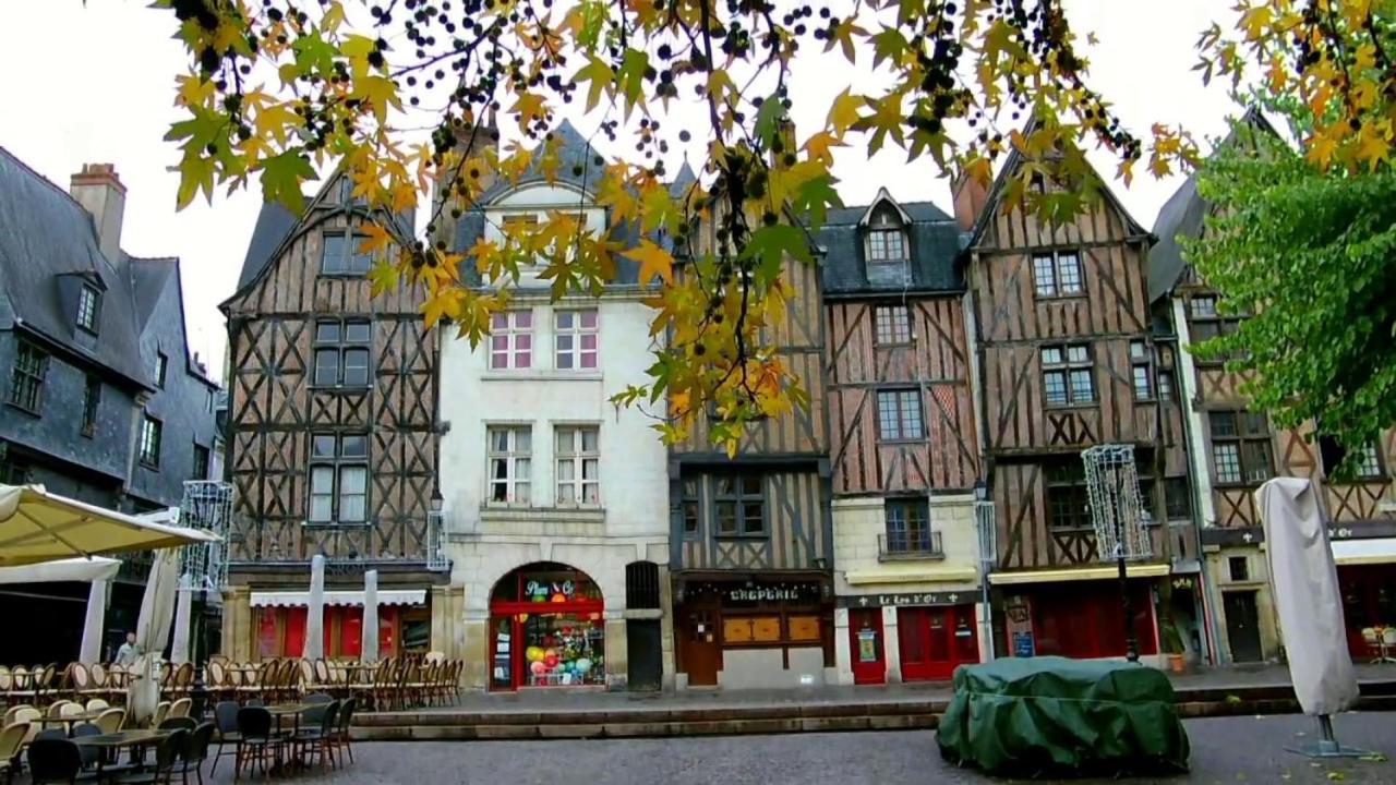 Le Jacobin - Saint Gatien- Bibliotheque Appartement